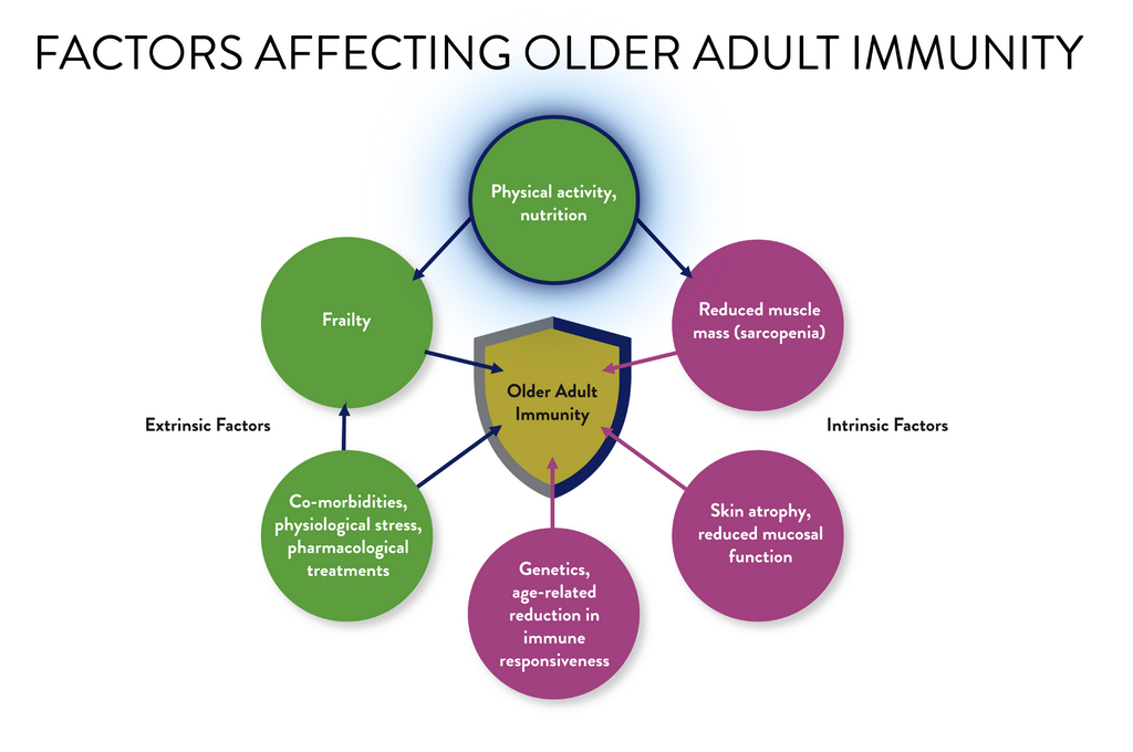Infographic