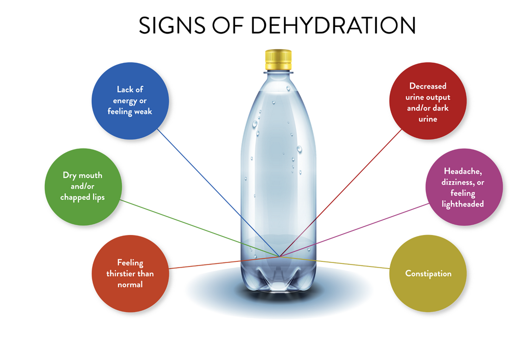 Infographic